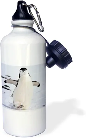 3dRose Chinstrap Penguin walks in Aitcho Islands - Sports Water Bottle, 21 oz, White