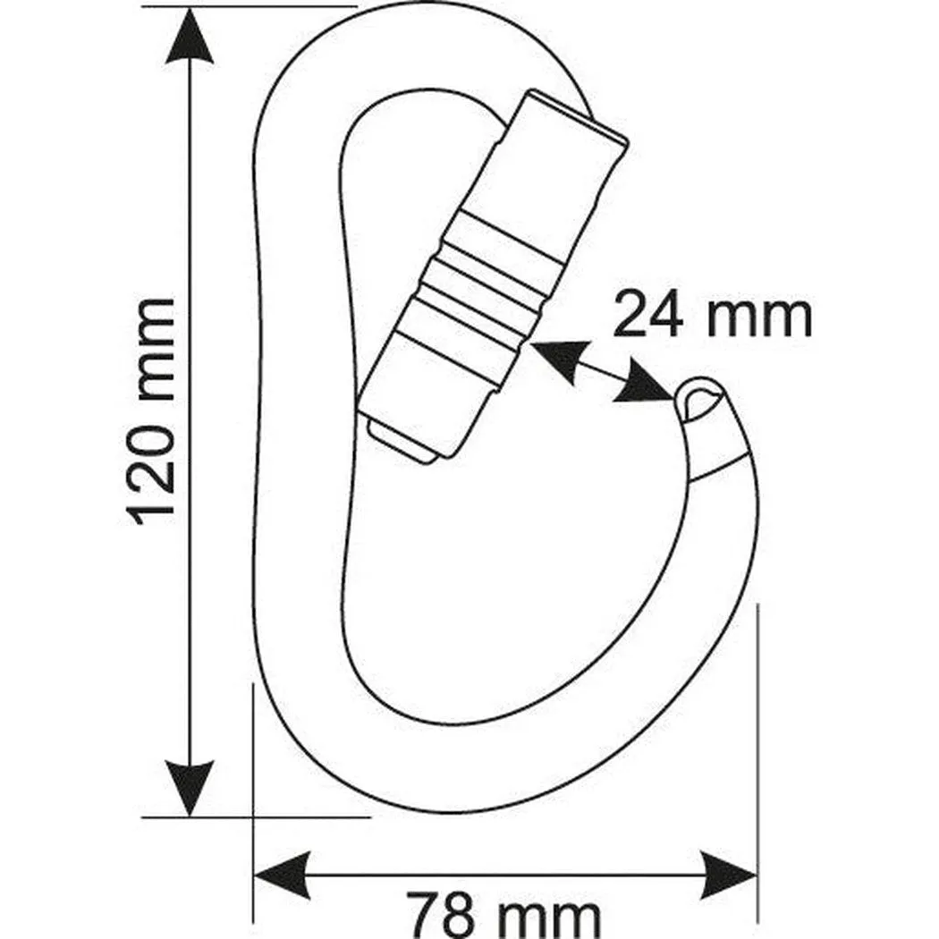 CAMP Atom 3 Lock